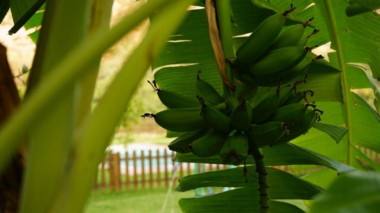 Villa Tropical Slow Orgiva Esterno foto